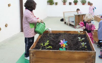 AMBIENTS D’APRENENTATGE: Una nova forma d’ensenyar al Fàtima Sueca