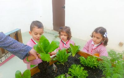 El nostre hort escolar 🍅