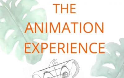 Animation experience 🎨