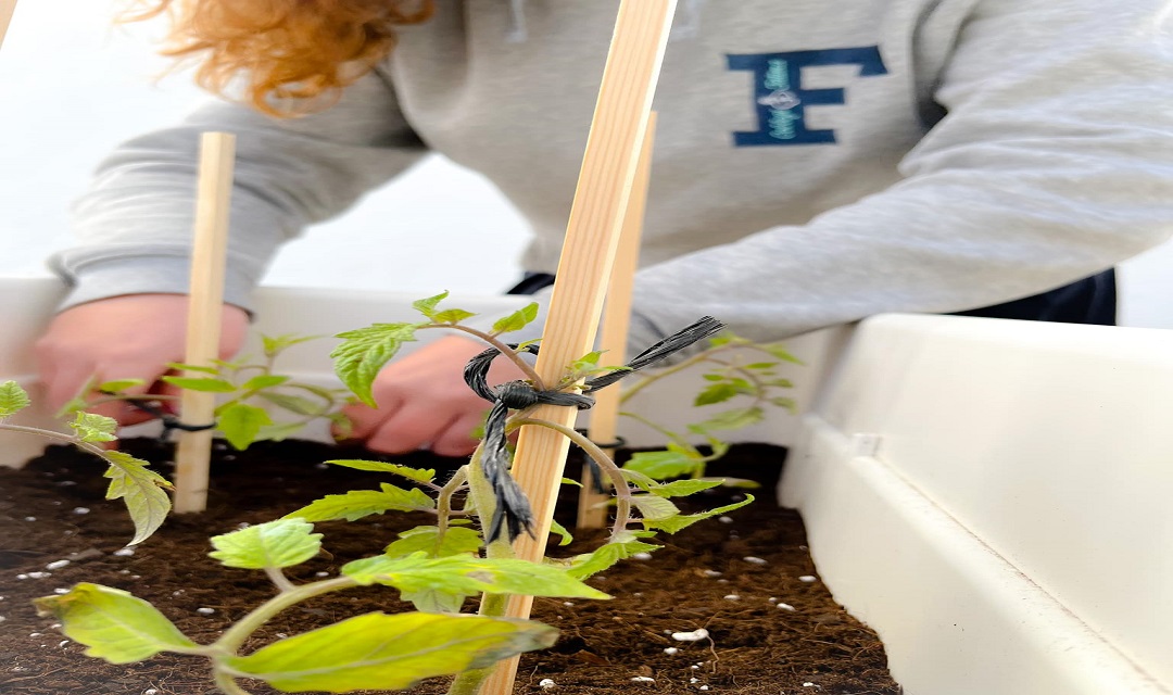 𝗣𝗿𝗼𝗷𝗲𝗰𝘁𝗲 𝗛𝗼𝗿𝘁 𝗘𝗰𝗼𝗹𝗼̀𝗴𝗶𝗰 🌱