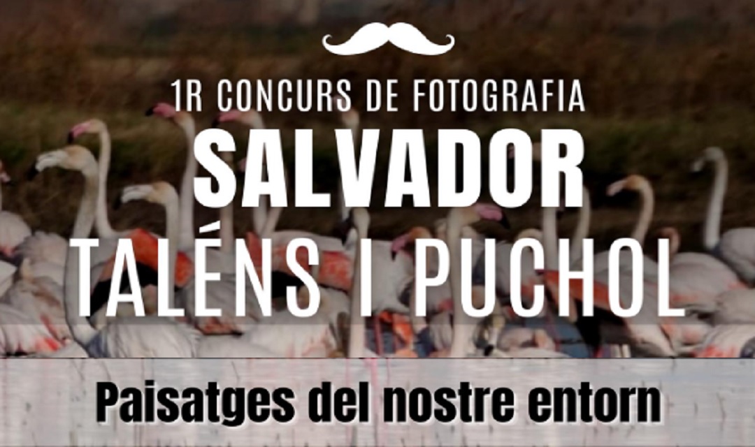 📸 1r Concurs de Fotografia Salvador Taléns i Puchol 📸
