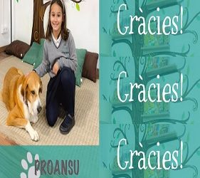  Visita Protectora d’Animals de Sueca (PROANSU) 🐕