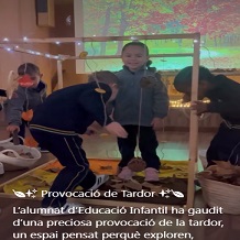 Provocació de la tardor  – Somriures lliures 😄